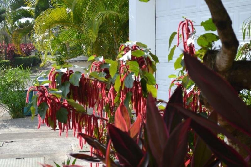 فندق Sleep Inn Florence North