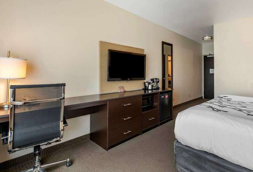 هتل Sleep Inn & Suites