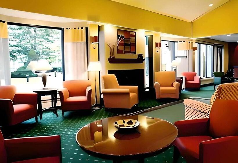 هتل Comfort Inn & Suites