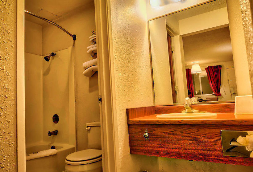 ホテル University Inn