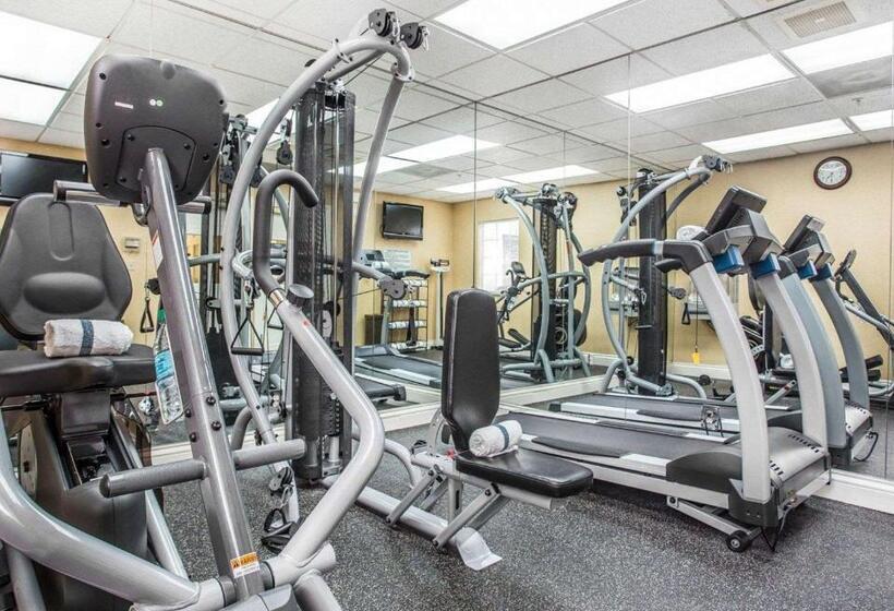 酒店 The 505 Collection