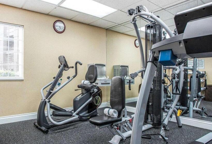 酒店 The 505 Collection