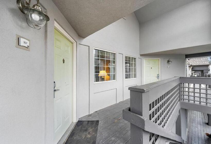 酒店 The 505 Collection