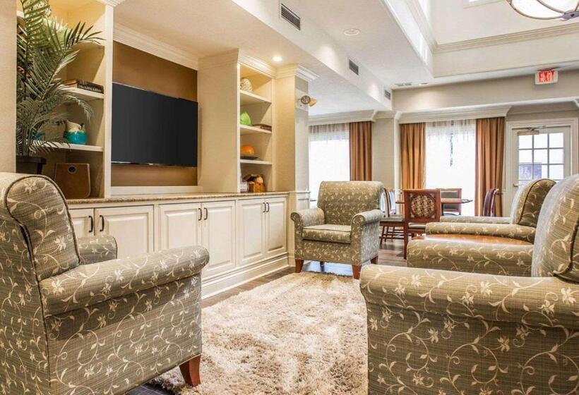 酒店 The 505 Collection