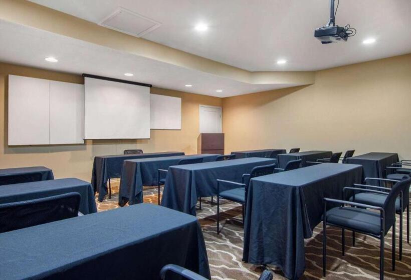 酒店 The 505 Collection