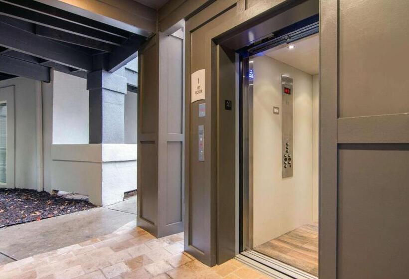 酒店 The 505 Collection