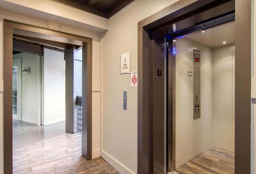 酒店 The 505 Collection