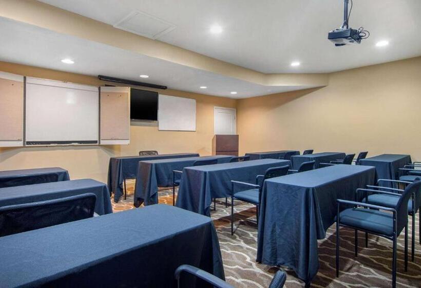 酒店 The 505 Collection