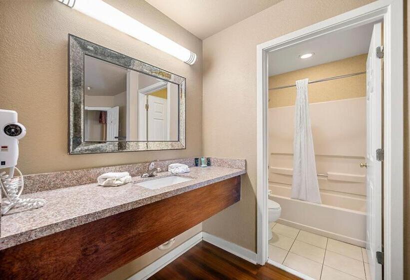 酒店 The 505 Collection