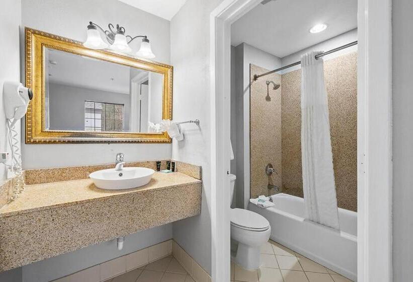 酒店 The 505 Collection