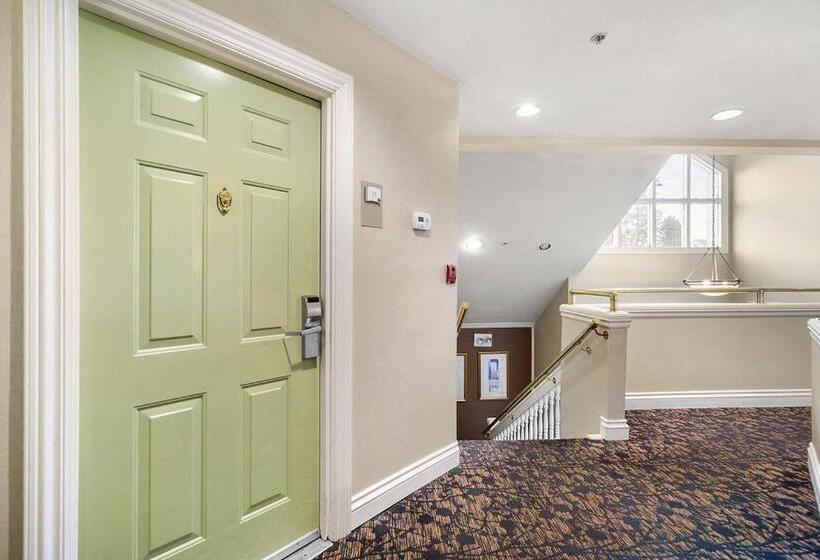 酒店 The 505 Collection