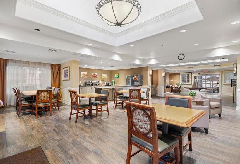 酒店 The 505 Collection