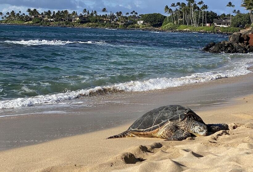 فندق Howzit Hostels