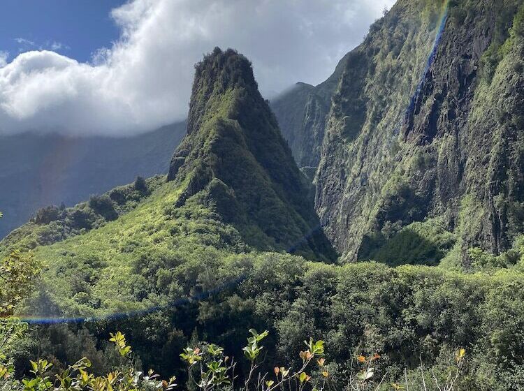 فندق Howzit Hostels