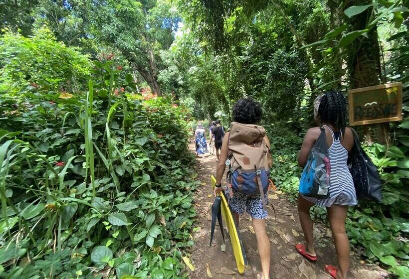 فندق Howzit Hostels