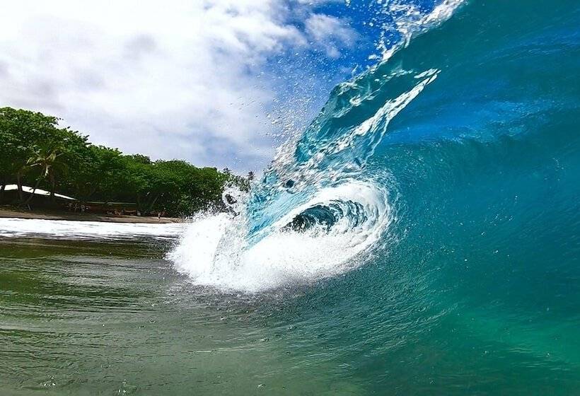 فندق Howzit Hostels