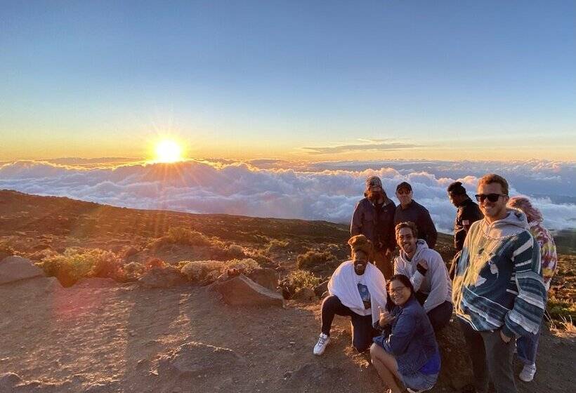 فندق Howzit Hostels