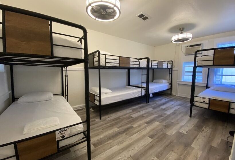 فندق Howzit Hostels