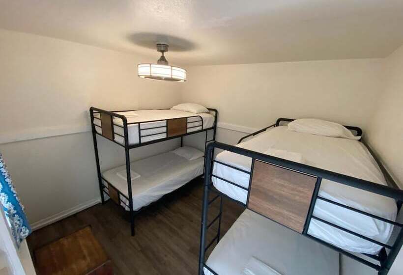 فندق Howzit Hostels