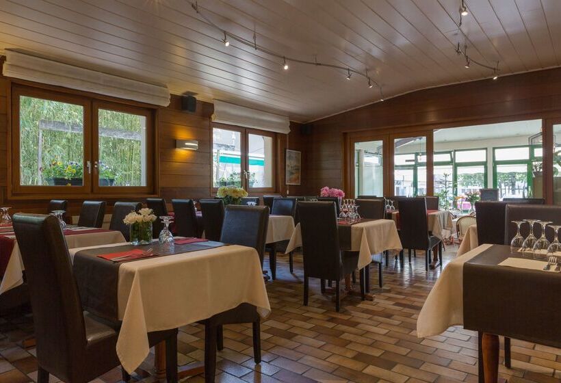 Logis Hotel Arc En Ciel