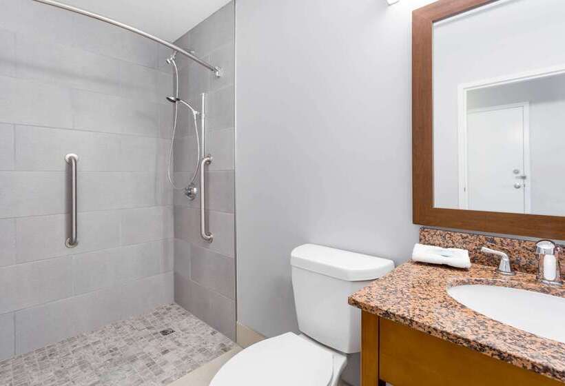 酒店 Wyndham Garden Greensboro