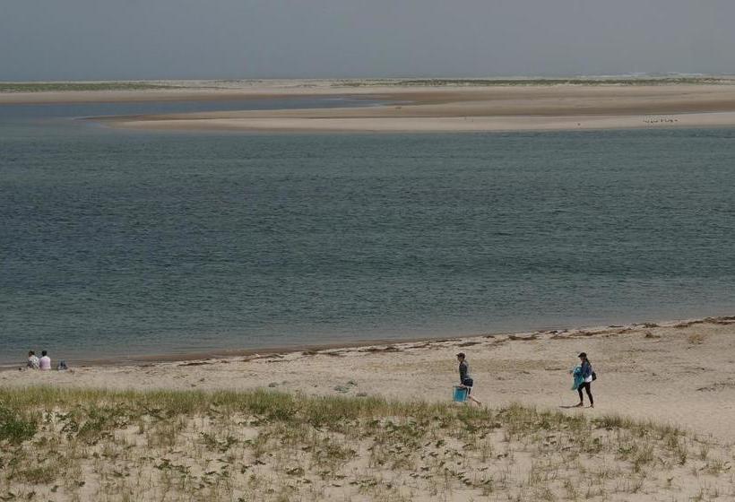 モーテル Chatham Tides