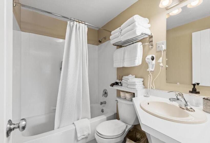 모텔 Lazy Duck Inn