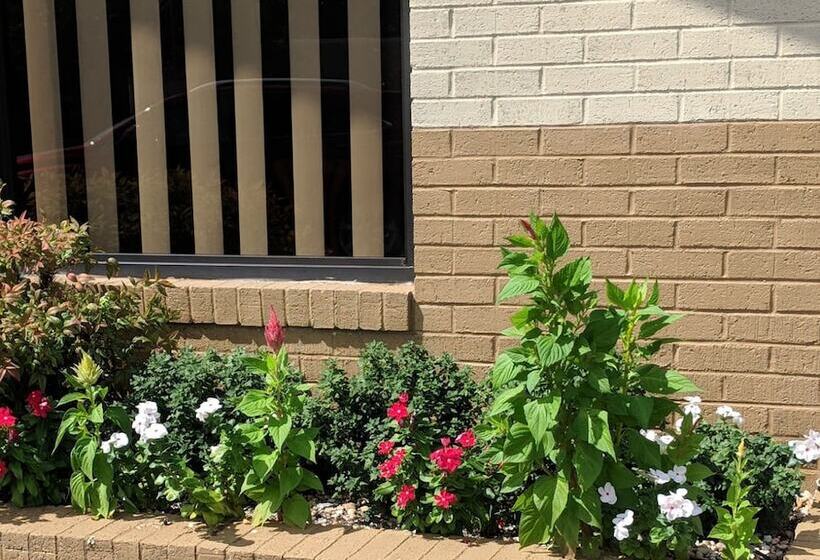 فندق على الطريق Loyalty Inn Rockingham