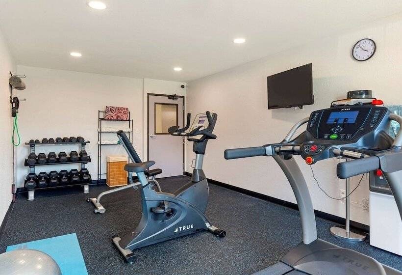 מוטל Quality Inn