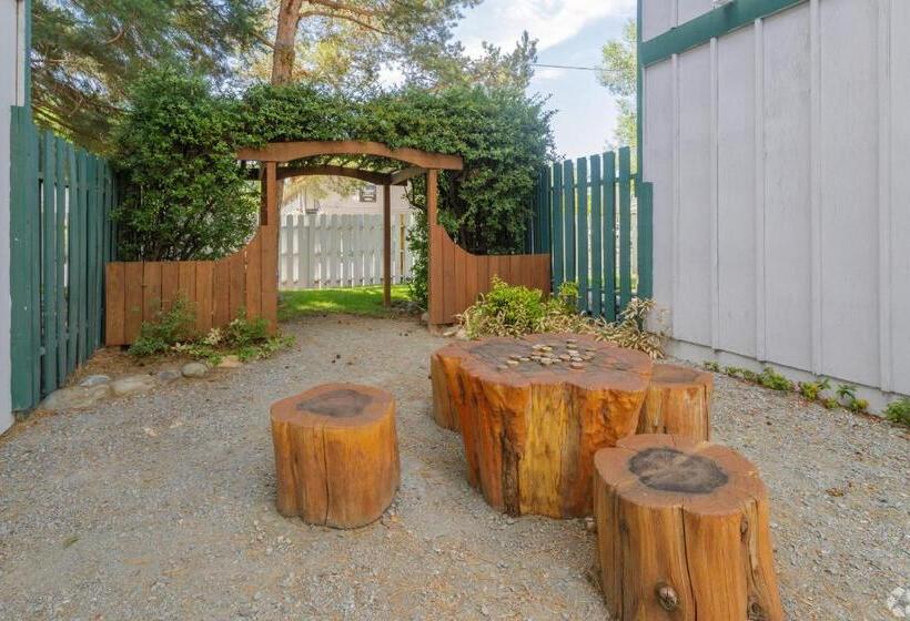 Thunderbird Resort Club