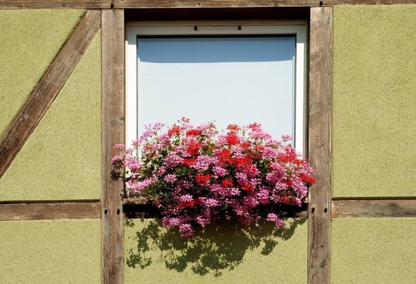 Отель Als Hôtel