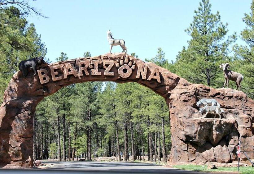 Отель American Regency Inn