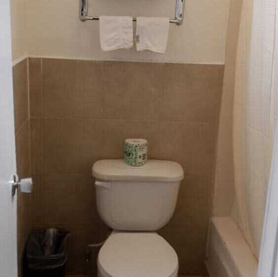 Отель American Regency Inn