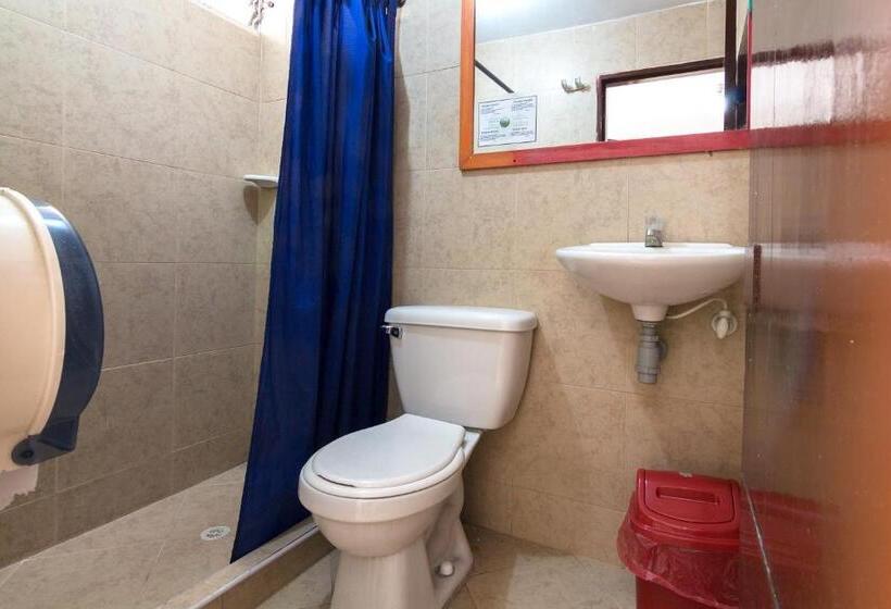 酒店 Ayenda 1248 Conquistadores