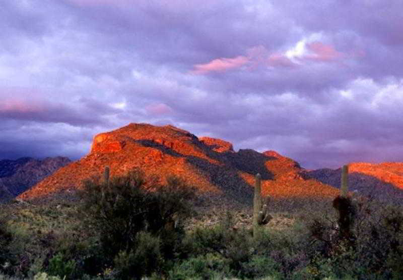 هتل Courtyard Tucson Airport