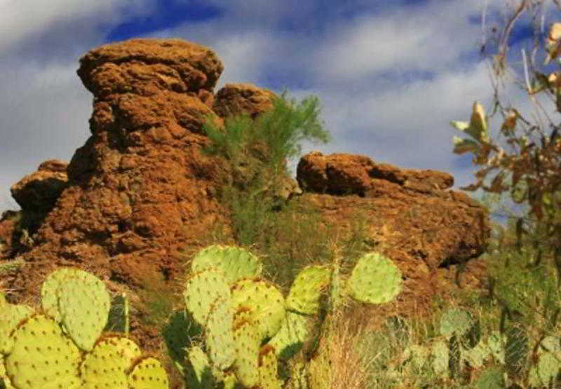 هتل Courtyard Tucson Airport