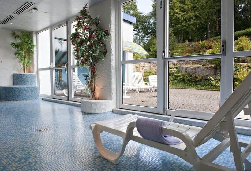 בית מלון כפרי Des Vosges