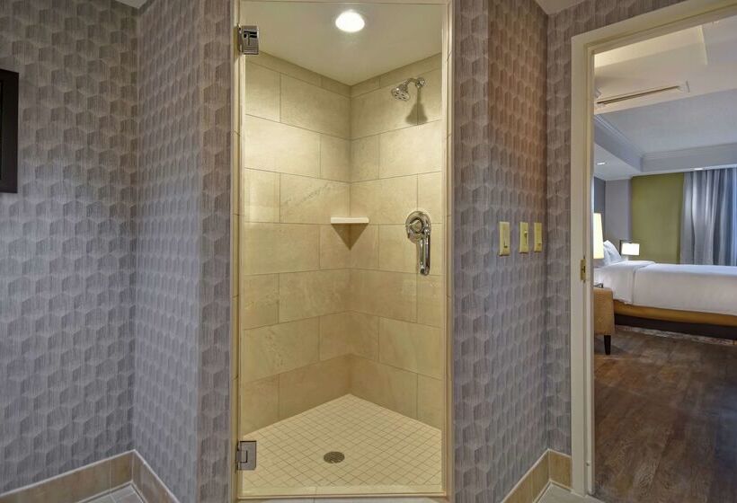 Отель Embassy Suites Little Rock