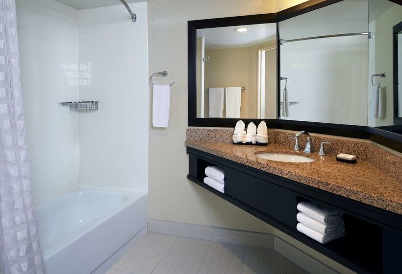 Отель Embassy Suites By Hilton Los Angeles International Airport North