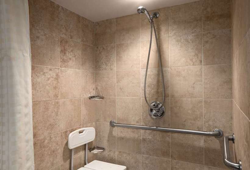 בית מלון כפרי Embassy Suites By Hilton Philadelphia Airport