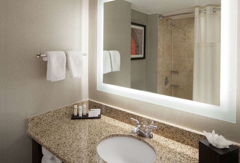 בית מלון כפרי Embassy Suites By Hilton Philadelphia Airport