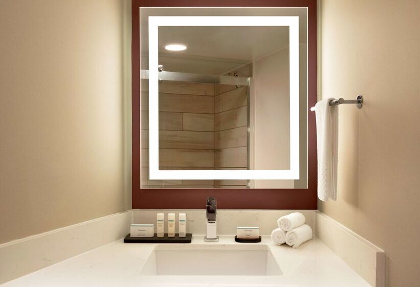 هتل Embassy Suites By Hilton Phoenix Downtown North