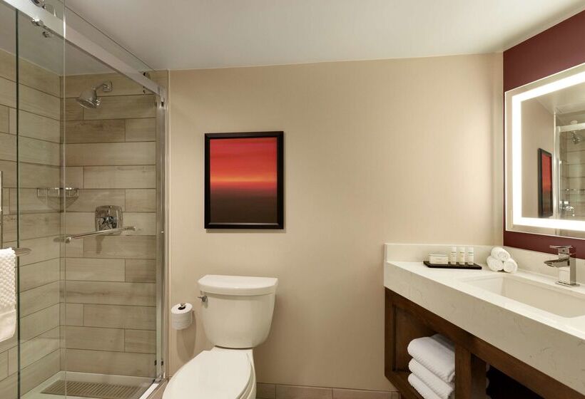 هتل Embassy Suites By Hilton Phoenix Downtown North