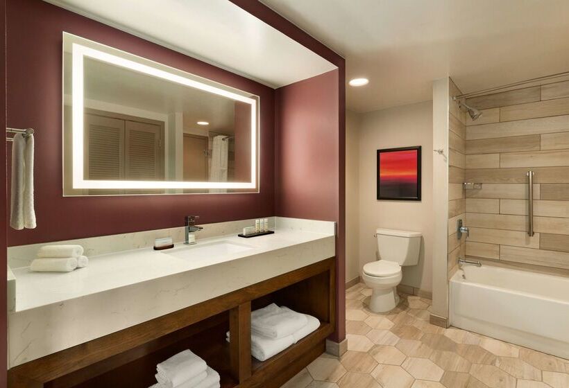 هتل Embassy Suites By Hilton Phoenix Downtown North