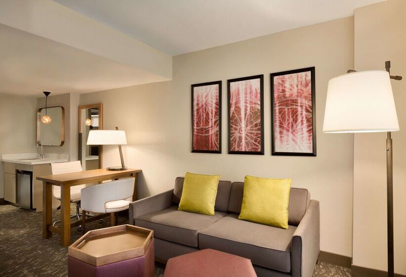 هتل Embassy Suites By Hilton Phoenix Downtown North