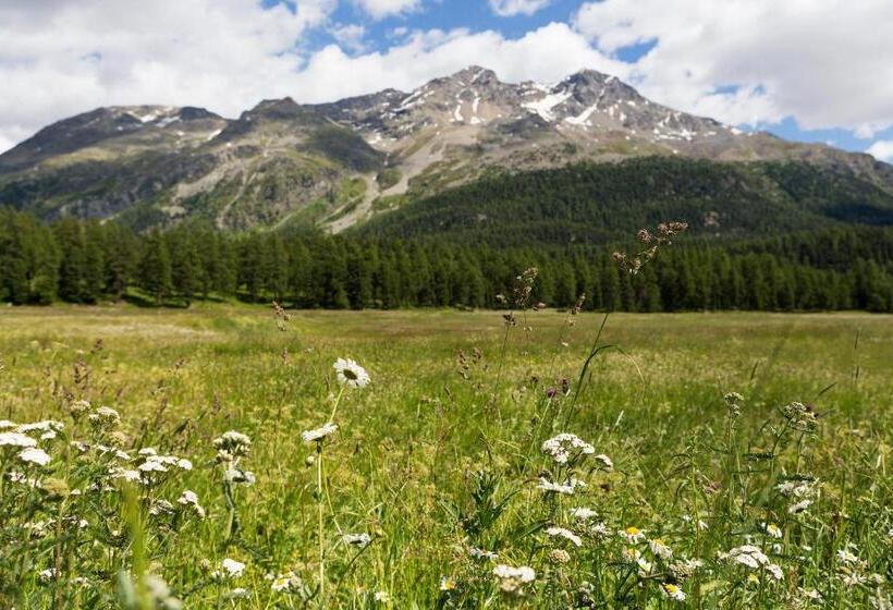ホテル Europa Suites St Moritz
