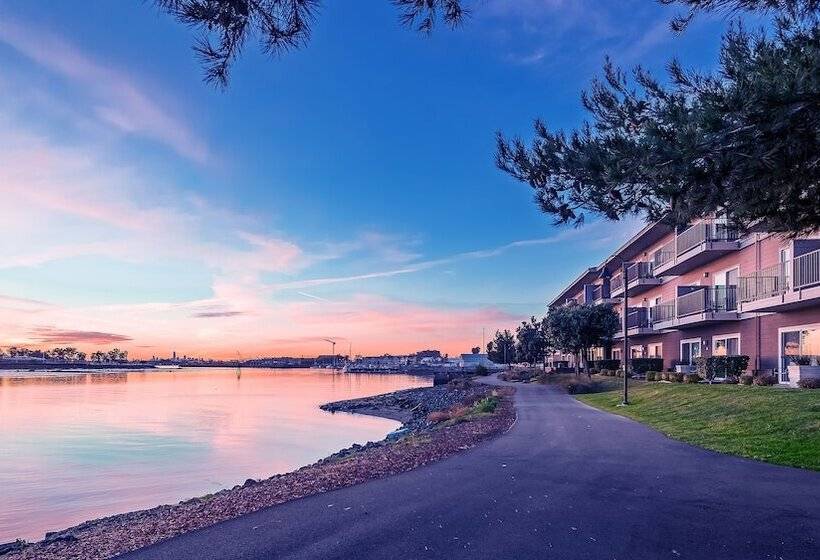 فندق Executive Inn & Suites Oakland