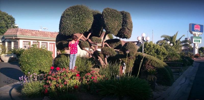 فندق Fairbridge Inn & Suites Gateway To Yosemite