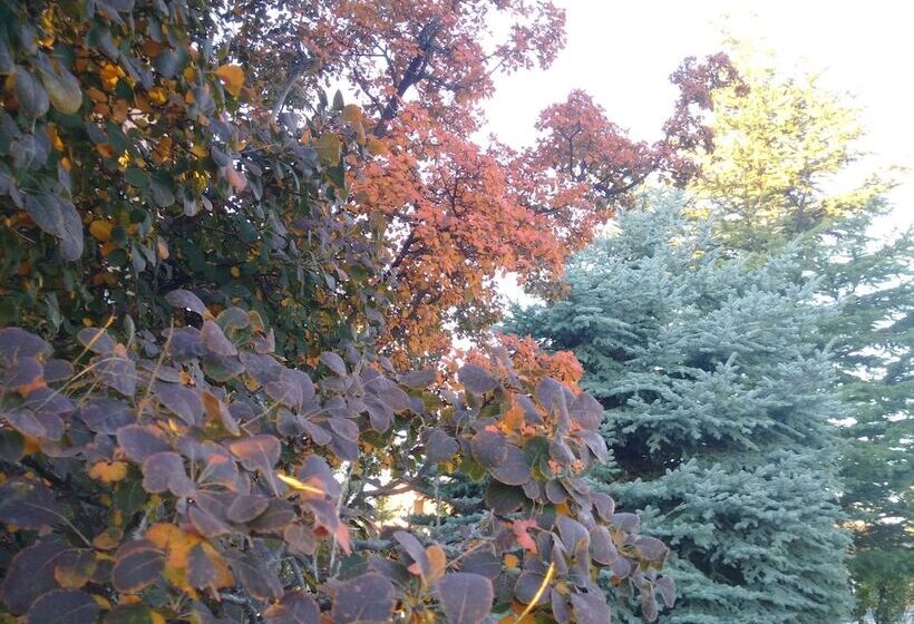 Отель Forest Villas