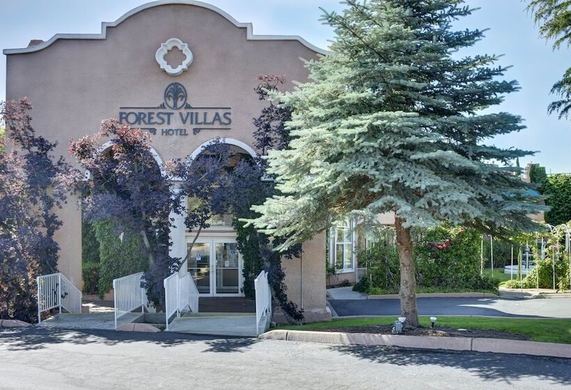 Отель Forest Villas